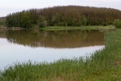 06
