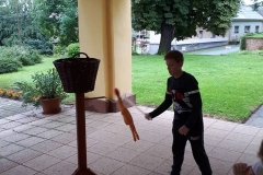 birtobavetel_24