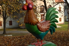 DSCN7529